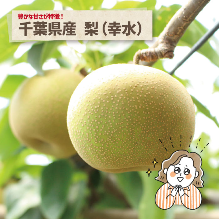“幸水サムネ”