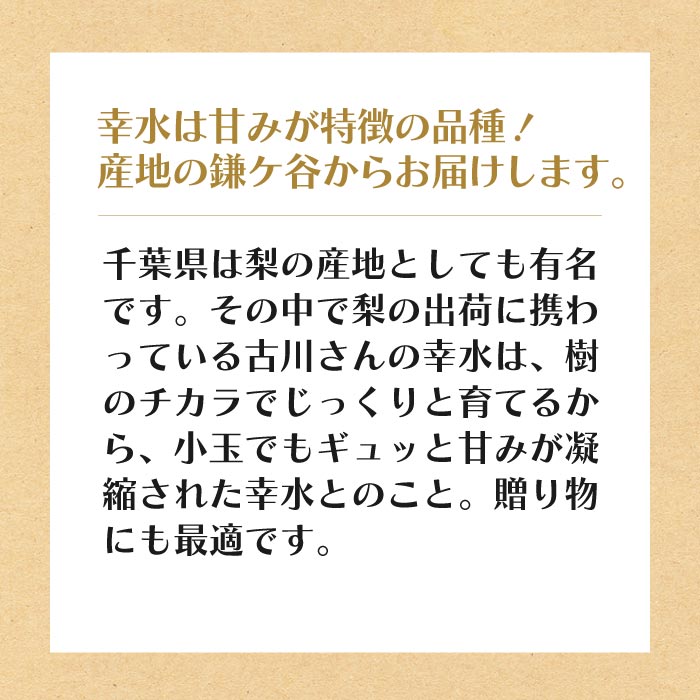 “幸水テキスト”