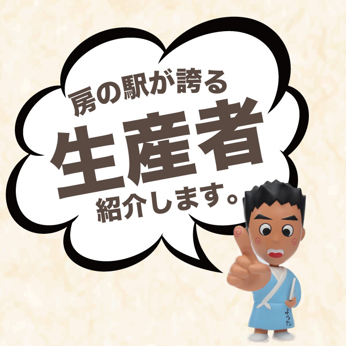 千葉県産 今が旬の自然薯