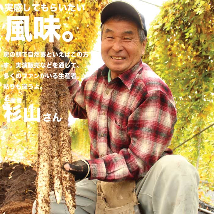 千葉県産 今が旬の自然薯