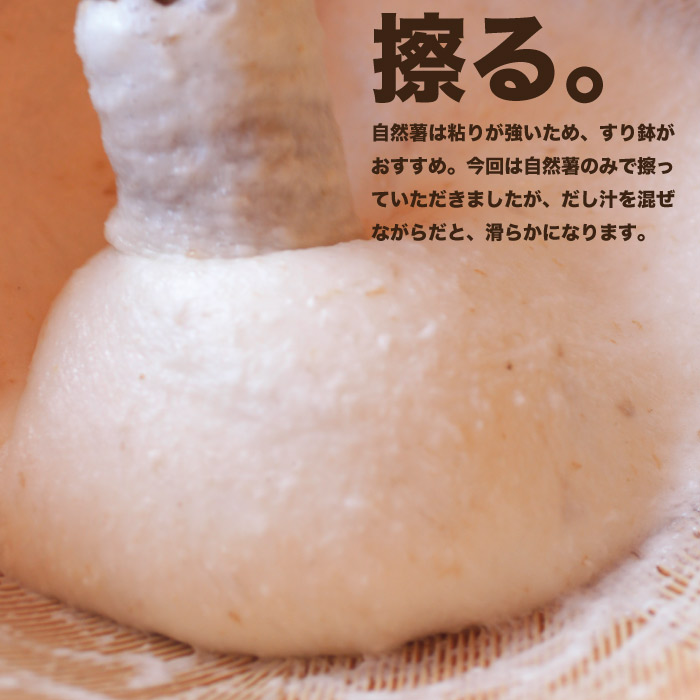 千葉県産 今が旬の自然薯