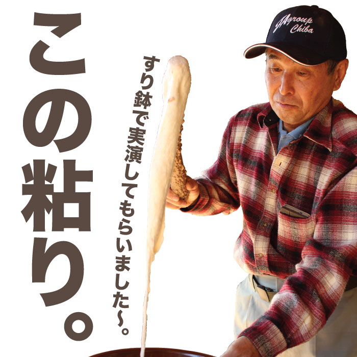 千葉県産 今が旬の自然薯
