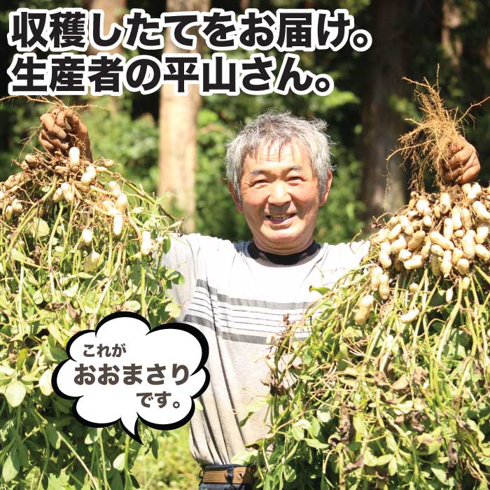 千葉県産 生おおまさり