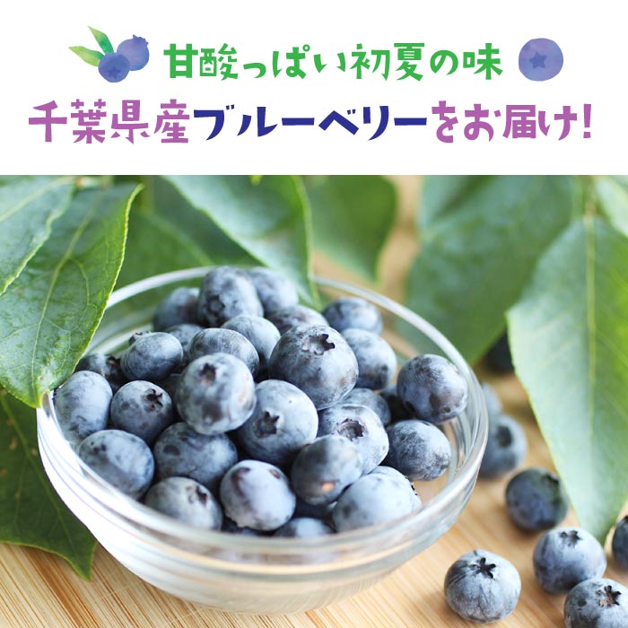 千葉県産 ブルーベリー