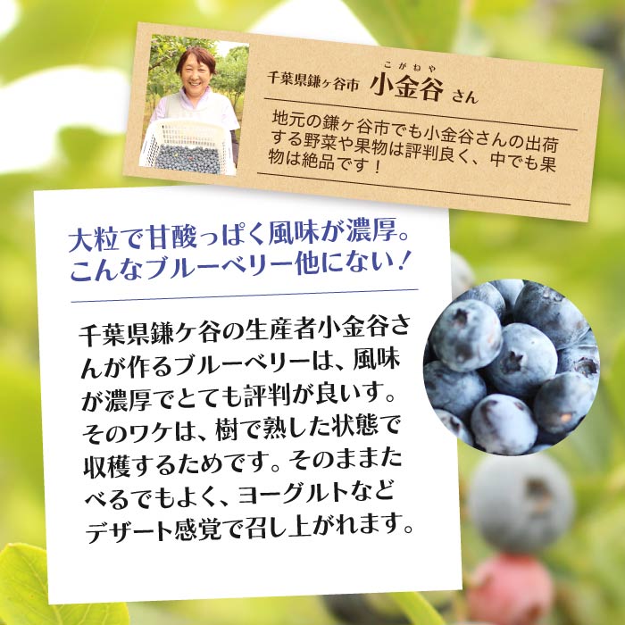 千葉県産ブルーベリー