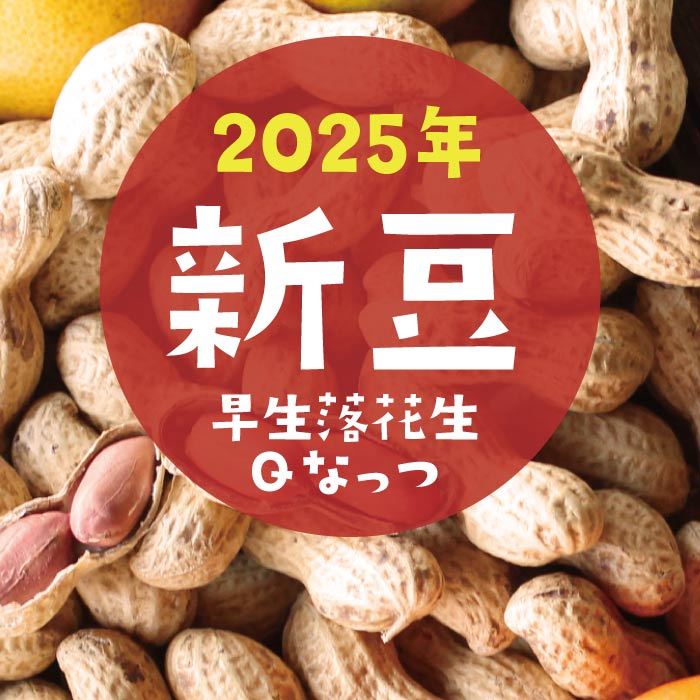 新豆