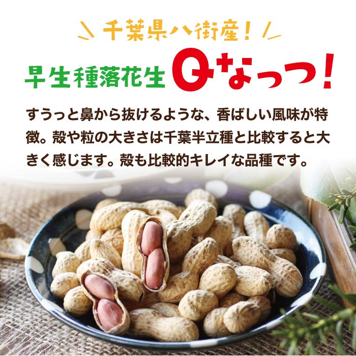 落花生 千葉 うまい