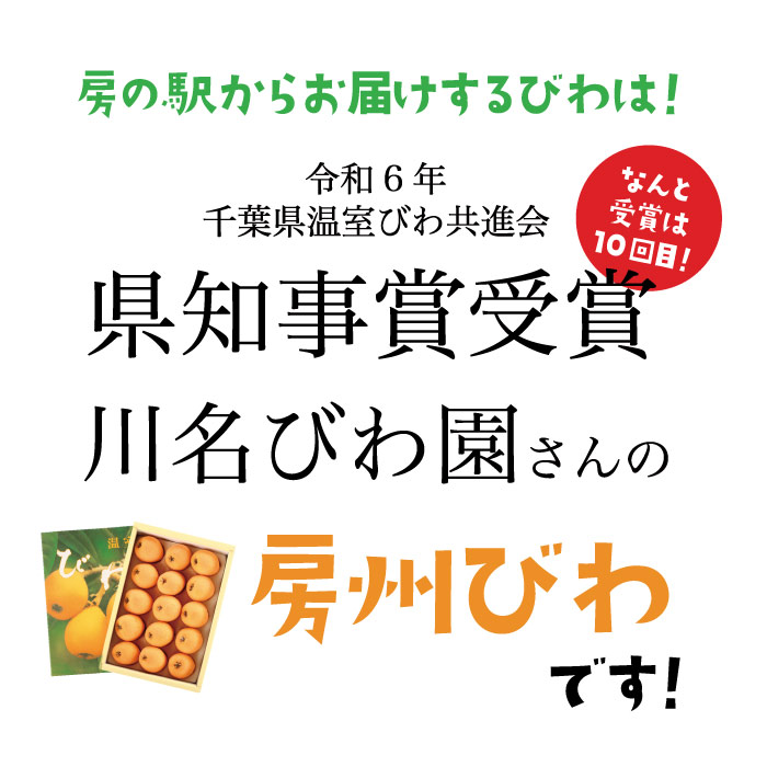 千葉県産 びわ 房州びわ 南房総特産 温室 露地栽培 初夏 ギフト