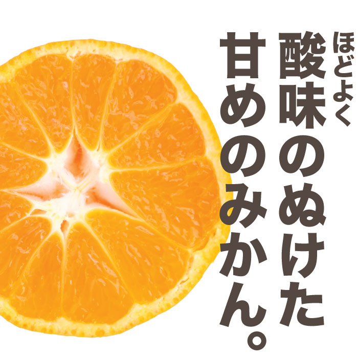 千葉県産 オレンジ村さん 南房総みかん