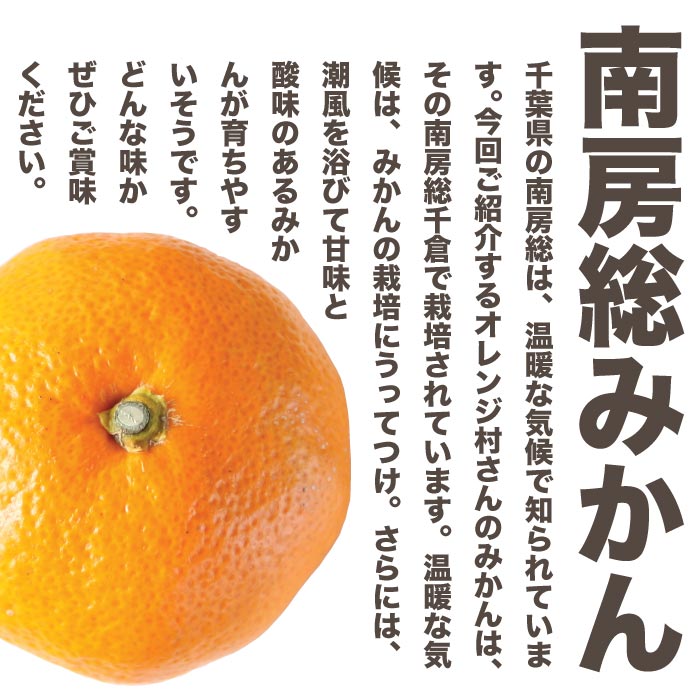千葉県産 オレンジ村さん 南房総みかん