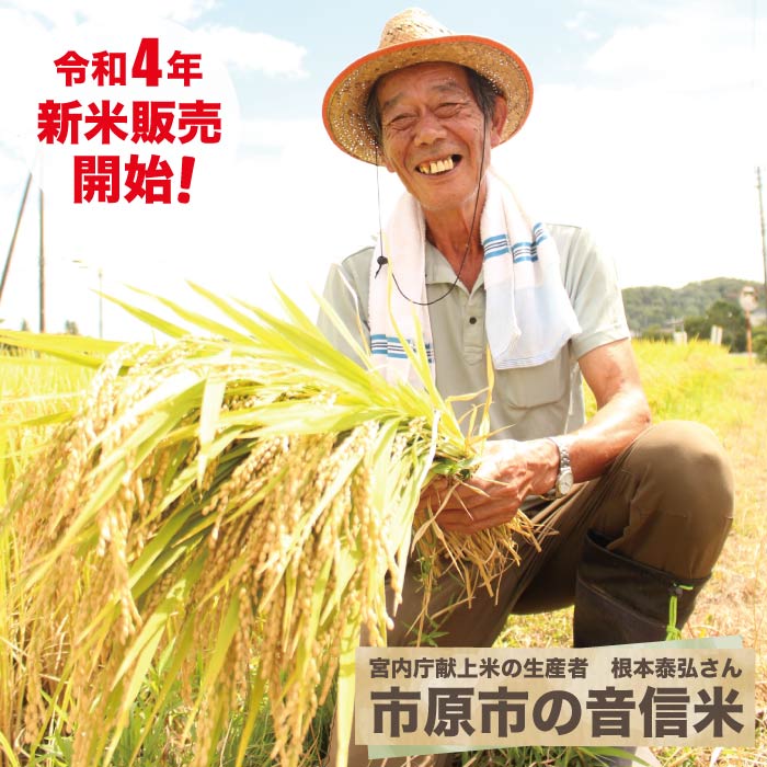 千葉県産 こめ お米 献上米 音信米 新米