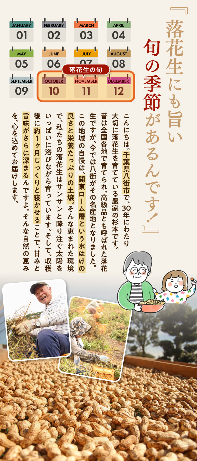 落花生にも旨い旬の季節があるんです！