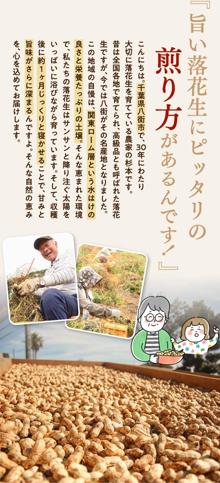 旨い落花生にピッタリの煎り方があるんです！