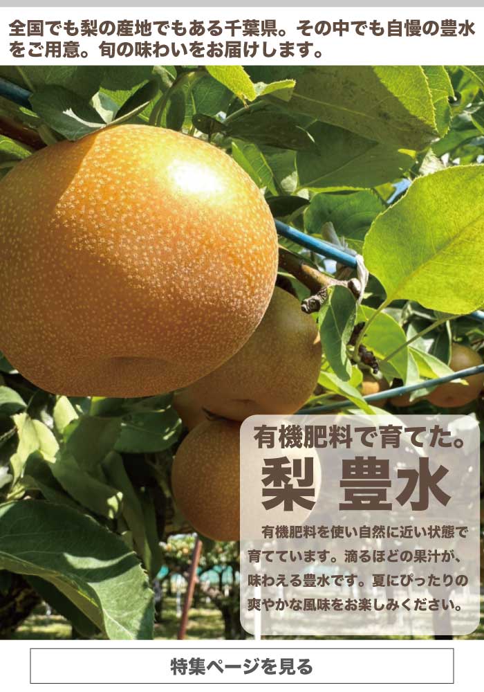 古川さんの梨