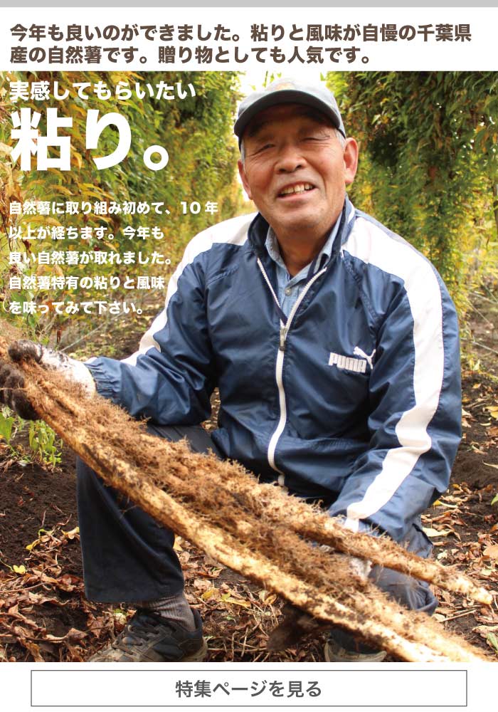 鴇矢さんの自然薯